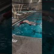 Backward Dive Shorts