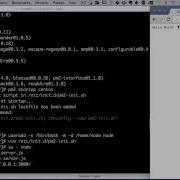 Using PM2 To Keep Your Node Js App Alive
