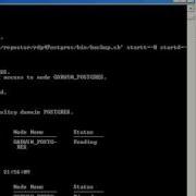 Rdp4Postgres Client 3