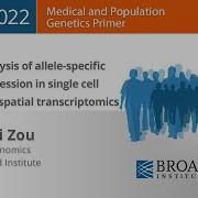 MPG Primer Analysis Of Allele Specific Expression In Single Cell And Spatial Transcriptomics 2022