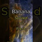 Fresh Vs Spoiled BANANA Under Microscope