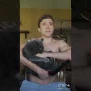 Into The Unknown Cat Doesn T Want To Be Holded Fyp Frozen2 Cats Intotheunknown Shorts