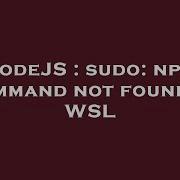 NodeJS Sudo Npm Command Not Found In WSL