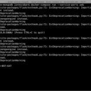 How To Use PDB With A Docker Container