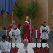 11am Solemn Mass Palm Sunday Of The Passion Of The Lord 13 April 2025 St Patrick S Cathedral