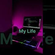 Coding Status Web Developer Status Coder Status Web Development Shortsvideo Viralvideo