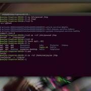 Shell Scripting Tutorial 4 Copy Move Rename File Or Folder