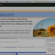 Bootstrap 3 The Complete Guide Course 22 Customize The Header
