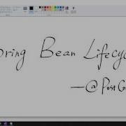 Spring Bean Lifecycle Creation PostConstruct