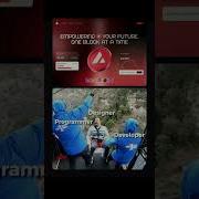 Designer Vs Developer Vs Programmer The Ultimate Showdown Shorts Shortvideo Fyp