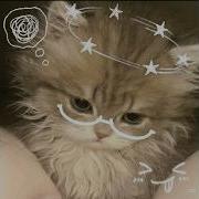 Плейлист с ПОЛМАТЕРИ Nightcore Speed Up
