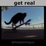 Remix 8 Get Real Cats Full