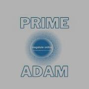 Prime Adam Number In Java