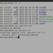 Basic Linux Permissions Part 2 Examples