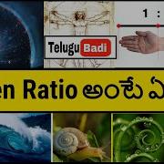 What Is Golden Ratio Explained In Telugu Fibonacci Sequence In Telugu Telugu Badi