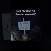 Cave Diving Is Not For The Faint Of Heart