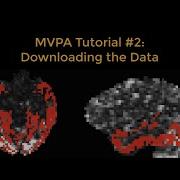 MVPA Tutorial 2 Downloading The Haxby Dataset