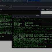 Pentester Lab CVE 2014 6271 ShellShock Walkthrough By Amine Essiraj