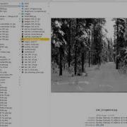 CMSMS LI2 Brands Module