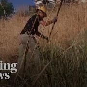 In Oregon Firefighter Interns Train Amid Shortage