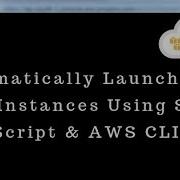 Automatically Launch Stop EC2 Instances Using Shell Script AWS CLI