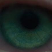 Blade Runner 2049 Intro Opening Scene HD