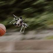Dynamic Obstacle Avoidance For Quadrotors With Event Cameras Science Robotics 2020