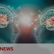 How Two Brains Can Synchronise And Why It Matters BBC News