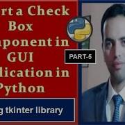How To Insert A Check Box In GUI Application In Python