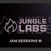 Jungle Hardcore Mix 2025 Jungle Labs Jam Sessions Vol 19 Deep Cuts Rinsers Rare Rollers