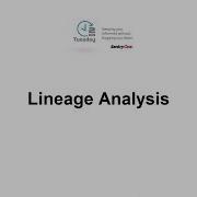 Lineage Analysis In DOC XPress