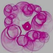 Motion Graphics Animated Typeface Stephanie Howell