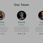 Responsive Our Team Section Make An Our Team Section On Website Using HTML CSS