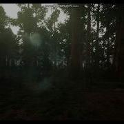 Predator Thermal Vision Test
