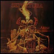 Sepultura Desperate Cry Backing Tack No Guitar
