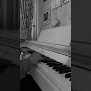 Melancholy Tiny Bunny OST Piano Ver