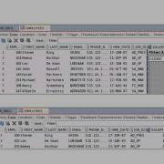 Oracle Database 12c SQL Developer Data Modeler