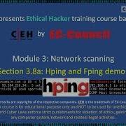 3 8 HPing And FPing