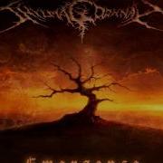 Shylmagoghnar Emergence Full Album