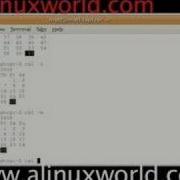 Linux Unix Simple Commands