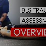 Оценка травм BLS обзор