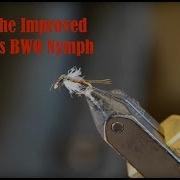 Tying The Improved Galloup S BWO Nymph