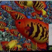 Vulkan API In Action 4K Resolution
