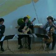 Poetrio Brasilis Lis By Marco Pereira