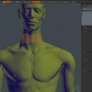 Modo Flex Tool Beginner Answer For Simple Posing In Modo 10 2