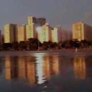 Palms Tropics Lyric Video Santos Beach Sunset