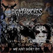 Agathocles We Just Don T Fit Full Album Stream