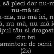 O Zone Numa Numa Lyrics