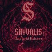 Dark Forest Psytrance 2025 150 155 BPM Full Psytrance Set Hypnotic Dark