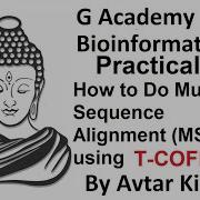 Bioinformatics Practical How To Do MSA Multiple Sequence Alignment Using T Coffee G ACADEMY